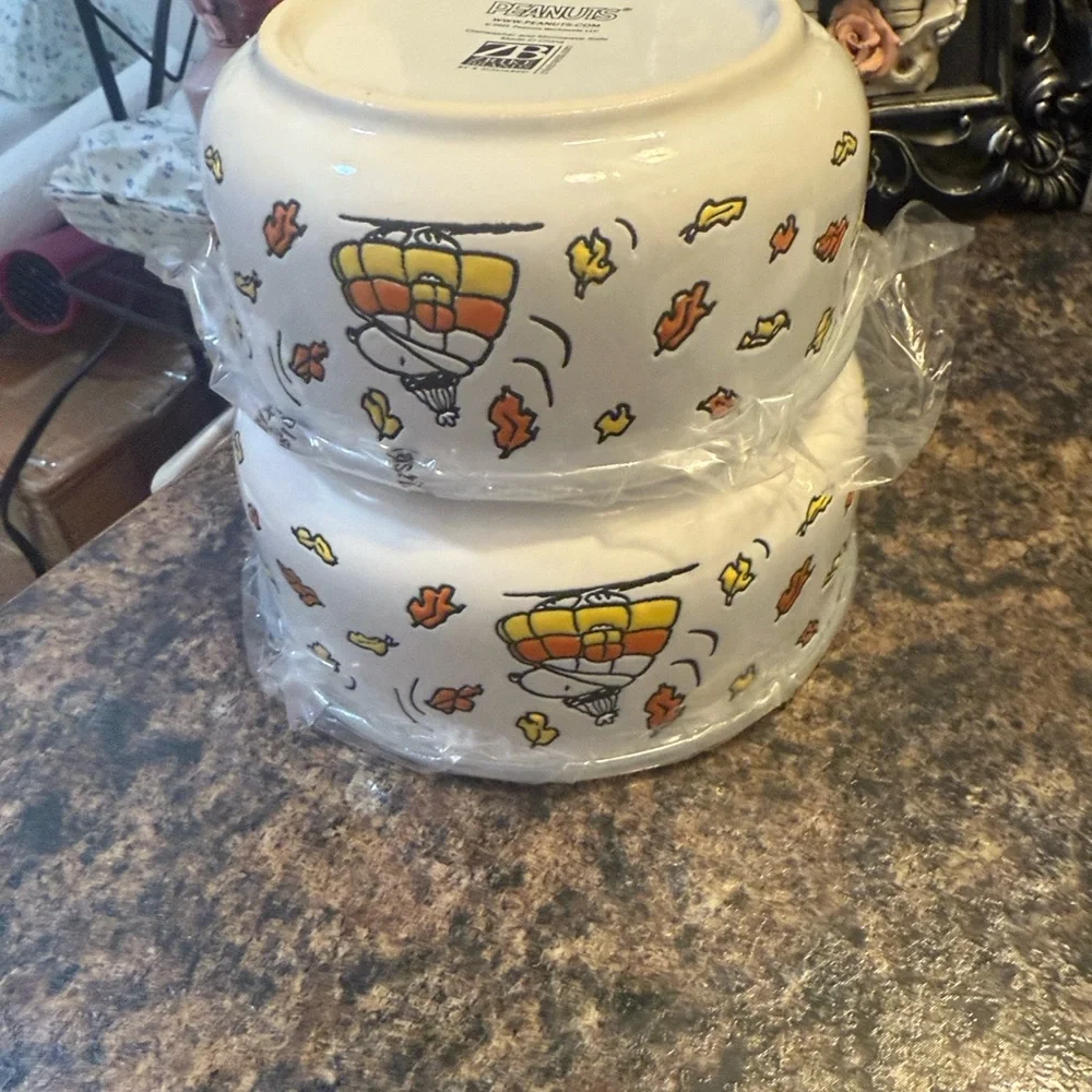 Peanuts fall bowl set
